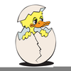 Duck Clipart Picture Image