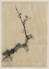 [fruit Tree Branch With Blossoms] Image
