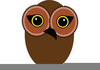 Owl Cartoon Images Image