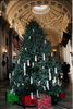 The U.s. Naval Academy S 13th Annual Giving Tree Image