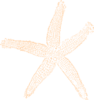 Pale Orange Starfish Clip Art