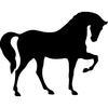 Paw Clipart Horse Image