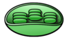 Chloroplast 2 Image
