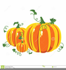 Pumpkin Patch Vector Clipart Image