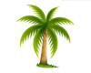 Palm Tree Image