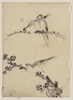 [three Birds Perched On Branches, One With Blossoms] Image