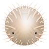 Blowfish Icon Image