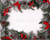 Holly Berry Christmas Border Clipart Image