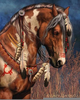 Indian Horse Art Image