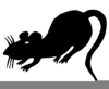 Clipart Pictures Of Rats Image