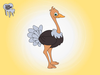 Ostrich Cartoon Images Image