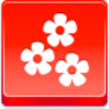 Free Red Button Icons Flowers Image