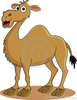 Camel Cartoon Images Image