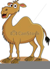 Free Camel Clipart Cartoon Image