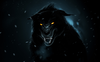 D Black Wolf Wallpapers Hd Image