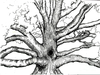 Ink Art Tree Image