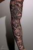Lion Tattoo Sleeve Image