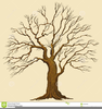 Oak Tree Clipart Royalty Free Image