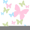 Pink Green Butterfly Clipart Image