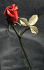 Rose Day Scraps Image