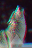 Wolf Tumblr Backgrounds Image