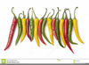 Red Chili Peppers Clipart Image