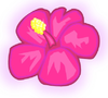Pink Flower Image