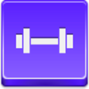 Free Violet Button Barbell Image