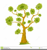 Bonsai Clipart Tree Image