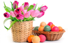 Pink Tulips In Basket Colorful Easter Eggs X Wide Wallpapers Net Image