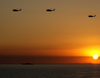 Ch-53 Sea Stallion Helicopters Fly Over The Northern Arabian Gulf Image