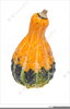 Free Clipart Of Gourds Image