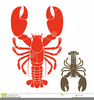 Lobster Clipart Picture Image