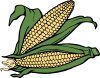 Corn  Clip Art