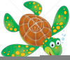 Sea Turtle Clipart Image