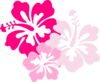 Hibiscus Pink Clip Art