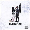 Black Flag Album Image