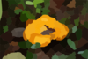 Yellow Cantarell Mushroom Clip Art