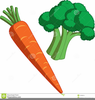 Carrot Clipart Free Image