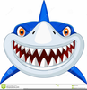Shark Teeth Images Clipart Image