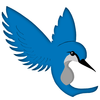 Blue Bird Image