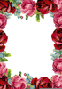 Free Pink Rose Clipart And Boarders Image