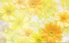 Flower Clipart Background Image