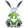 Download Bunny 2 Image