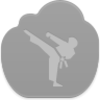 Karate Icon Image