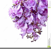 Thank You With Flowers Clipart Image