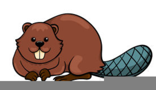 Free Clipart Of Beavers | Free Images at Clker.com - vector clip art  online, royalty free & public domain