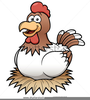 Clipart Chicken Egg Image