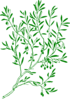Green Olive Branch Clip Art