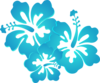 Hibiscus 27 Clip Art